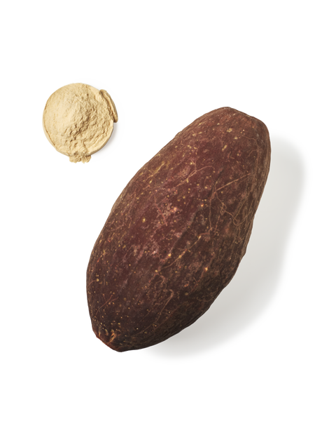 Baobab